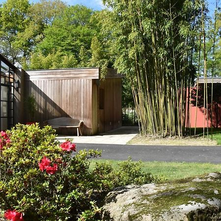 Le Bois Du Drillais Hotel La Gaubretiere ภายนอก รูปภาพ